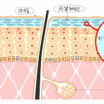 ずぼらな人におすすめのアイテム！オールインワンゲル